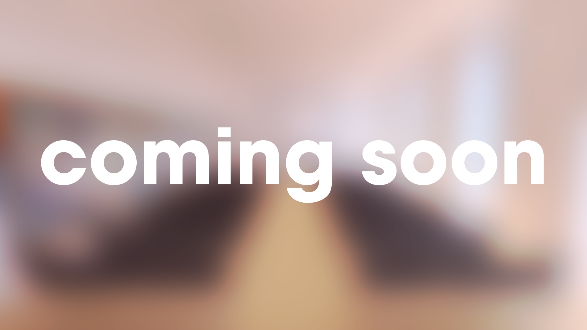 Sanierung Hof Brenneis - Neukirchen